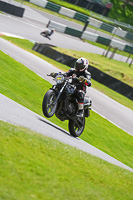 Middle Group Black Bikes